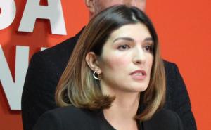 Ćudić: SDA i HDZ su sa Novalićem i Milićević odabrali fotelje umjesto dobrobit FBiH