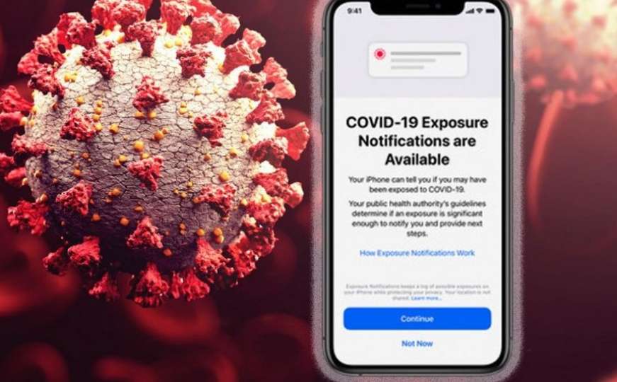 Test na koronavirus:  Očituje rezultate odmah na zaslonu mobilnog telefona