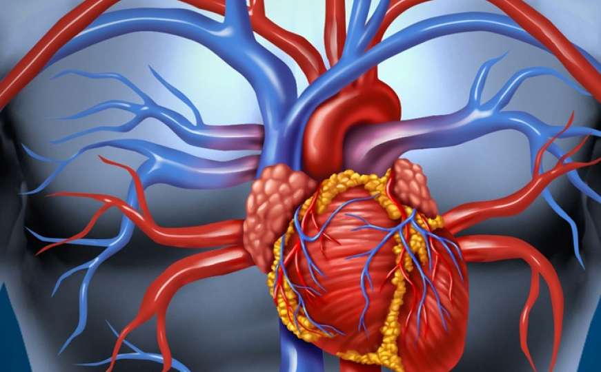 Doktor objasnio kakav uticaj  COVID-19 ima na kardiovaskularne bolesnike