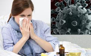Kako je moguće da još uvijek nemamo nijedan slučaj sezonske gripe, a korona hara?