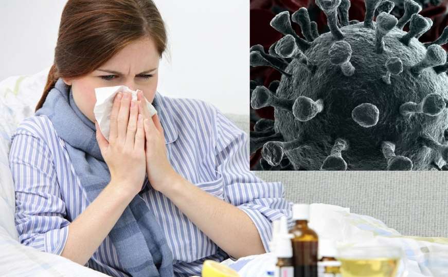 Kako je moguće da još uvijek nemamo nijedan slučaj sezonske gripe, a korona hara?