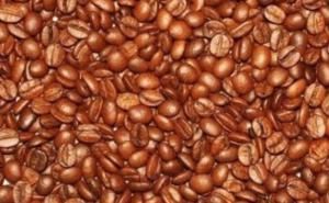 Kakva zbrka na jednoj fotografiji: Vidite li djecu i bubamare među kafom? 