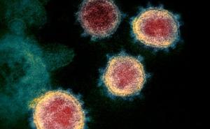 Naučnici zabrinuti: Šta je novi soj koronavirusa, da li će cjepiva djelovati? 