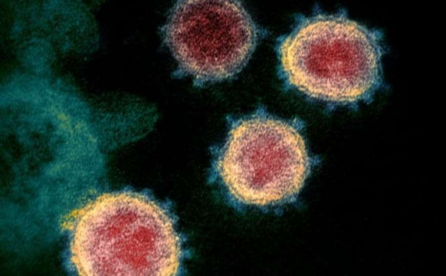 Naučnici zabrinuti: Šta je novi soj koronavirusa, da li će cjepiva djelovati? 