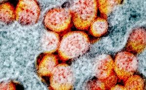 Sve što znamo o mutiranom soju koronavirusa koji se počeo širiti svijetom