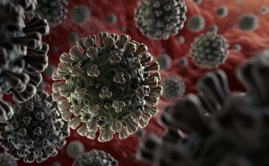 Oglasio se i WHO o novom soju koronavirusa