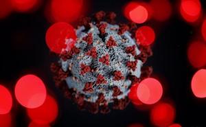 Otkriven još jedan soj koronavirusa, naučnici jako zabrinuti