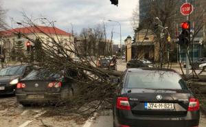 Nevrijeme u BiH: Vjetar iščupao stablo, oštećeni automobili koji su bili u pokretu