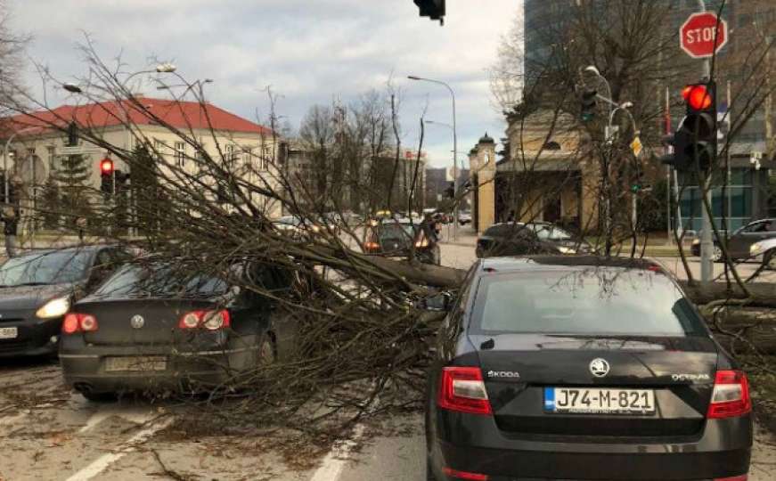 Nevrijeme u BiH: Vjetar iščupao stablo, oštećeni automobili koji su bili u pokretu