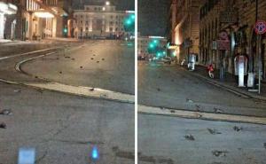 Zbog novogodišnjeg vatrometa: U Rimu uginule stotine ptica