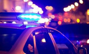 Užas u BiH: Nogama udarao psa, uključila se policija