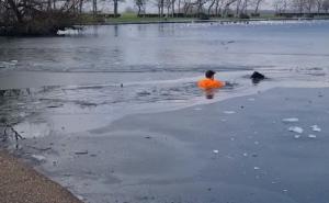 Herojski čin: Skočio u zaleđeno jezero da spasi psa