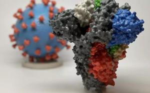 "Mutant u bijegu": Naučnici strahuju zbog varijante koronavirusa iz J. Afrike