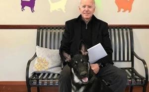 Nema bajkovitije životinjske priče: Pas predsjednika Bidena ući će u historiju