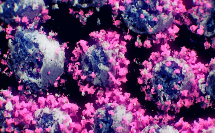Bečki naučnici omogućili novi 3D prikaz koronavirusa