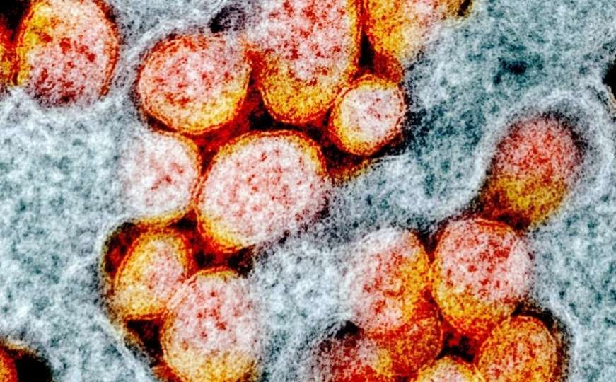 Naučnici saopćili: Britanski soj koronavirusa ponovo mutirao