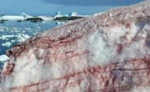 Vremenski fenomen: Krvavi snijeg moguć u Njemačkoj