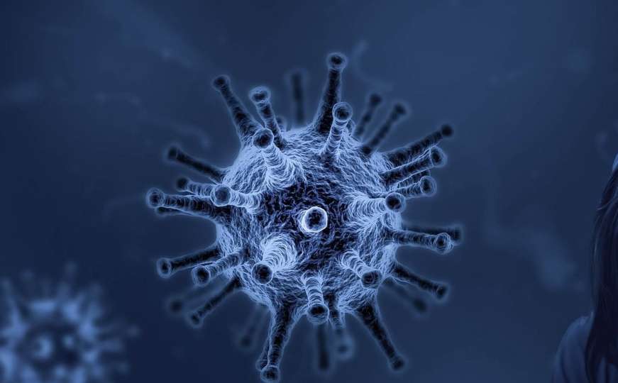 Britanski soj koronavirusa otkriven u Bosni i Hercegovini