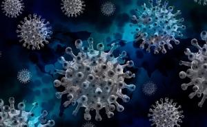 Kalifornijska varijanta: Novi soj korone širi se Amerikom