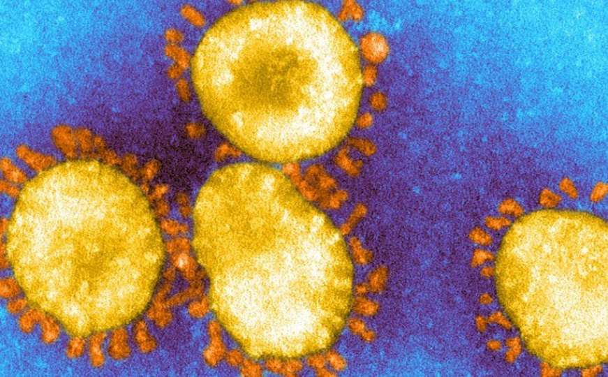 U Crnoj Gori potvrđeno prisustvo britanskog soja koronavirusa