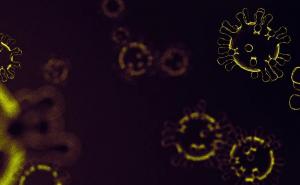 Novi sojevi koronavirusa evoluirali u SAD-u: Otkriveno sedam novih mutacija!