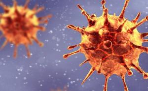 Studija u V. Britaniji: 90 zdravih volontera namjerno će dobiti COVID