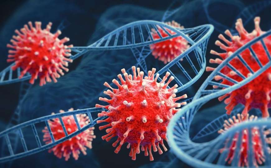 Naučnici saopćili: Dva nova soja koronavirusa mutirali u hibrid