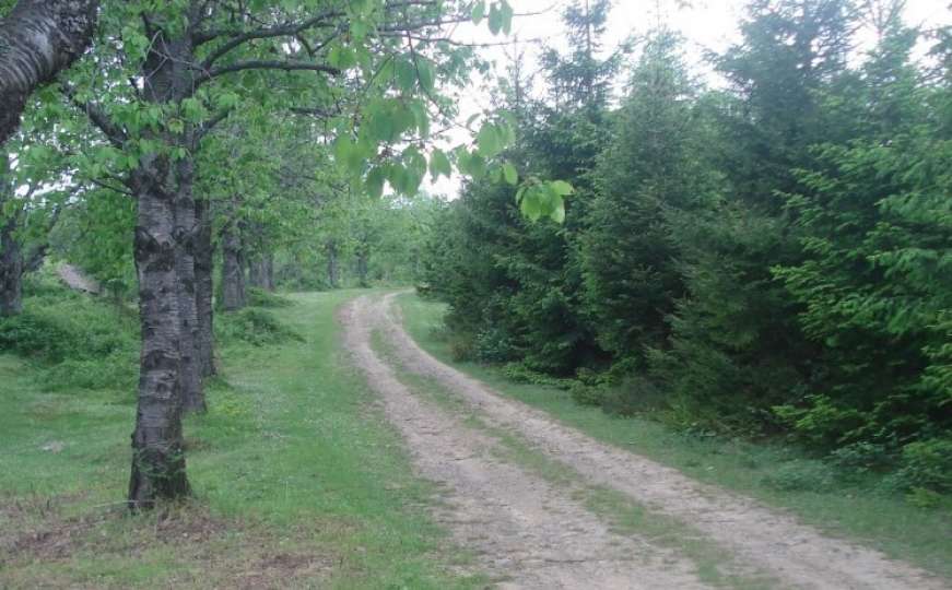 Porodica iz Hrvatske pratila navigaciju i izgubila se u šumi u BiH