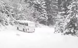 Ogorčena majka: Kad gledaš kako autobus ide prema litici a u njemu ti vlastito dijete