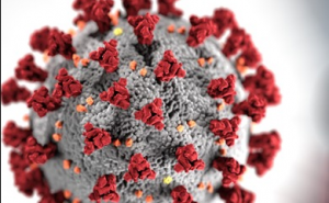 Nova mutacija koronavirusa otkrivena u Francuskoj