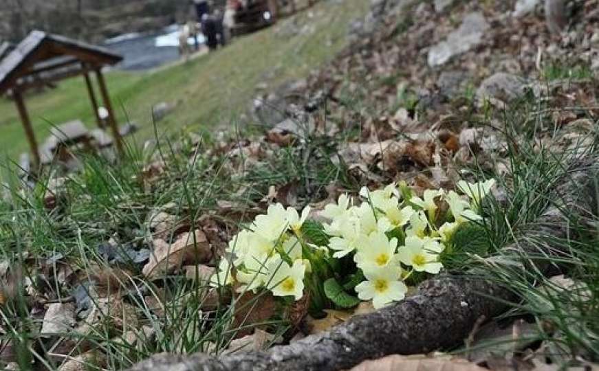 Počinju ekološke akcije u susret proljeću