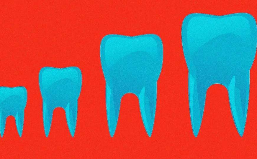 Čudesan uspjeh nauke: Potraga za lijekom koji bi nam omogućio da nam narastu novi zubi