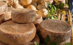 Najopasniji sir na svijetu dolazi iz Sardinije, iz njega izlaze crvi