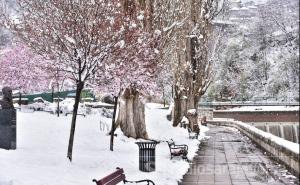 Pogledajte predivne prizore u Sarajevu: Snijeg, behar, proljeće...
