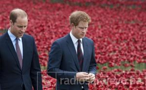 Princ William i princ Harry će se susresti nakon što se nisu vidjeli godinu dana