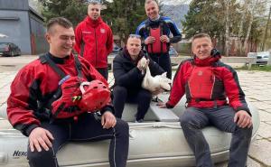 Članovi ISS-a Zenica spasili povrijeđenog labuda iz rijeke Bosne