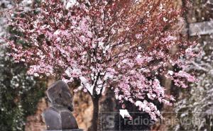 Danas slaba kiša i 13 stepeni: Evo kad će opet biti snijega