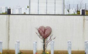 Četrnaest godina od požara u Domu Bjelave u kojem je stradalo šest beba