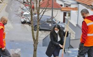 Gradonačelnica Karić zasadila drvo lipe, uputit će nove prijedloge Gradskom vijeću