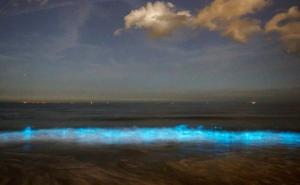 Nevjerovatni prizori na Jadranu: More je danju crveno, a noću fluorescentno plavo
