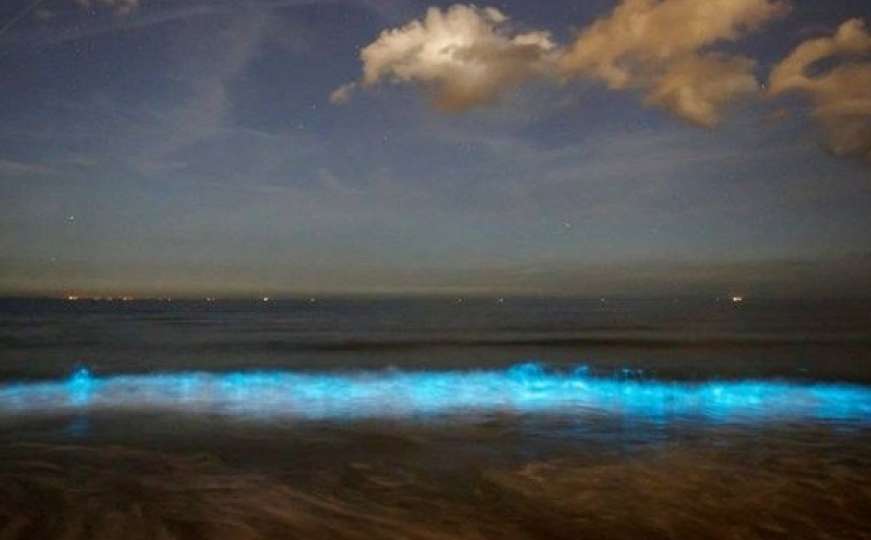 Nevjerovatni prizori na Jadranu: More je danju crveno, a noću fluorescentno plavo