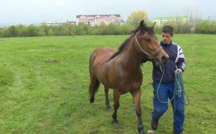 Svaka čast, dobri ljudi: Mladi Adem dobio novog konja i moći će nastaviti raditi