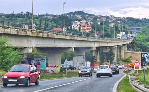 Pomor miševa u općini u Hrvatskoj, mještani uznemireni: "Nalazimo ih posvuda"