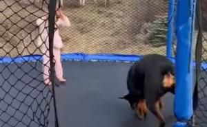 Ovaj video djevojčice i psa postao je hit, pogledajte zašto