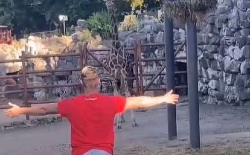 Tiktoker u beogradskom zoo vrtu ušao u kavez kod žirafe i pokušao da je jaše