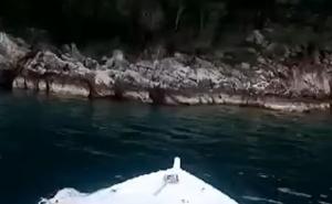 Nedaleko od Neuma: Medvjed uživao u kupanju u moru