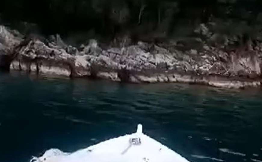 Nedaleko od Neuma: Medvjed uživao u kupanju u moru