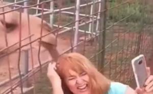 Htjela da napravi selfie pa joj kamila iščupala pramen kose