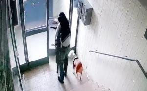 VIDEO: Prepoznajete li lopova iz Sarajeva koji u krađu vodi i psa