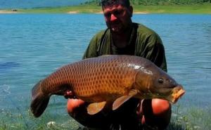 Pogledajte ulov od 17,5 kilograma na Ramskom jezeru